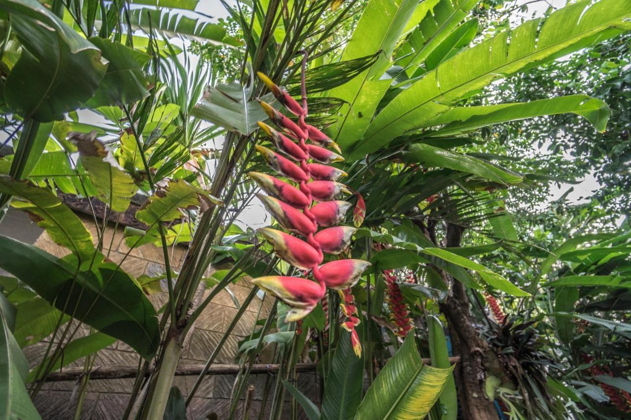 Tegar Guest House Ubud Εξωτερικό φωτογραφία