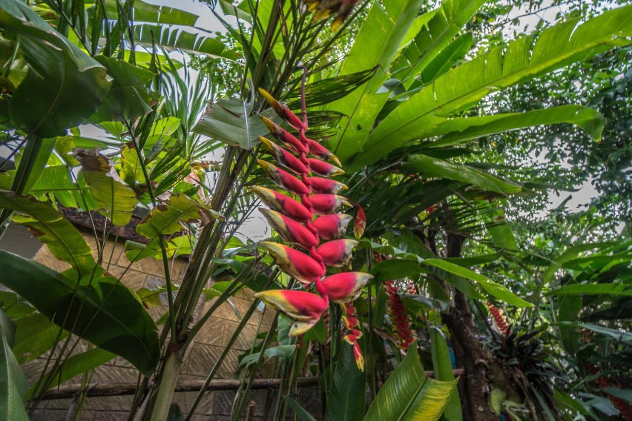 Tegar Guest House Ubud Εξωτερικό φωτογραφία